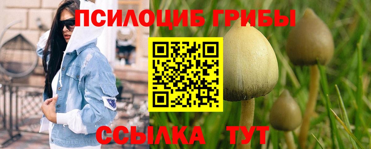 Кулебаки  Псилоцибиновые грибы ЛСД  Галлюциногенные грибы мицелий  Вход с VPN 